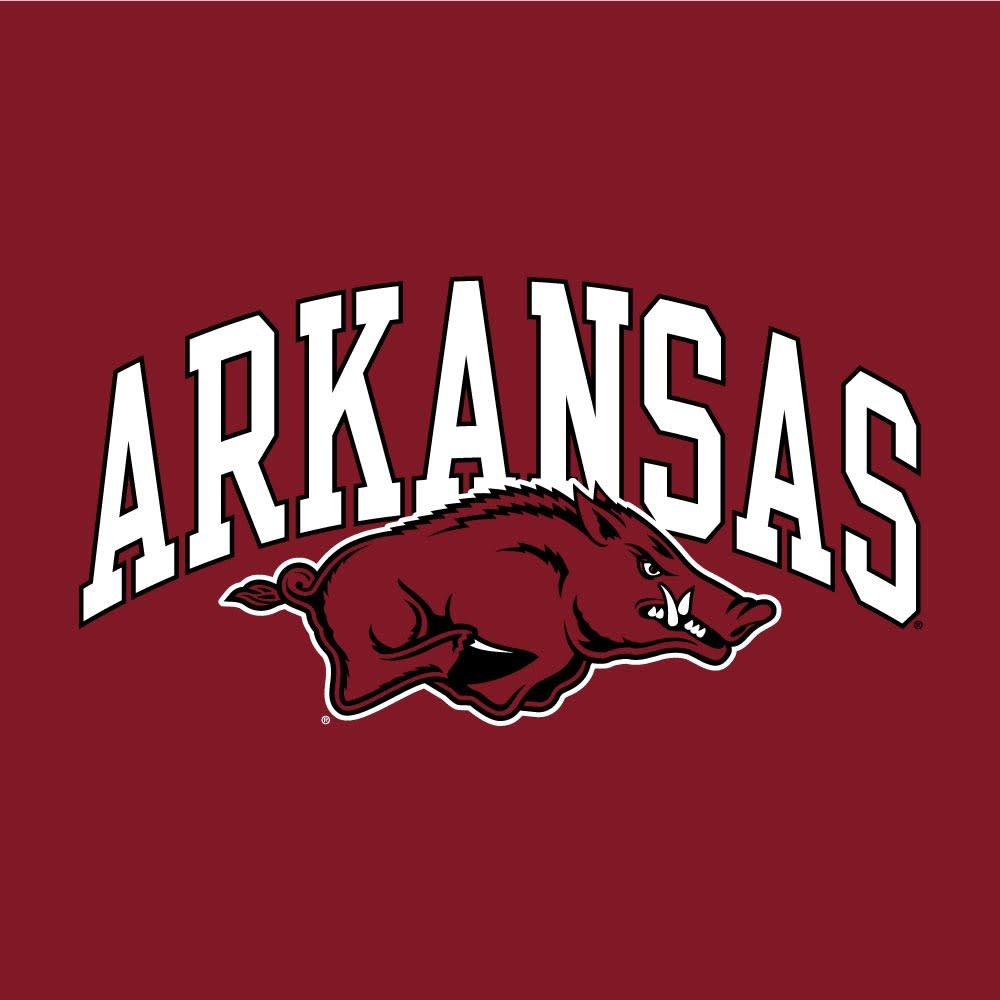 Champion Arkansas Razorback Basic Short Sleeve Jersey Tee By Champion