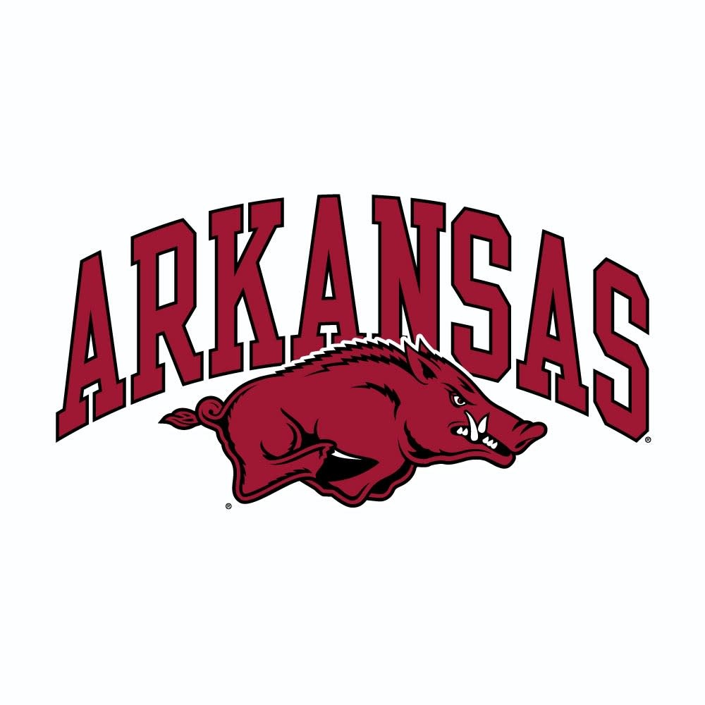 Champion Arkansas Razorback Basic Short Sleeve Jersey Tee By Champion