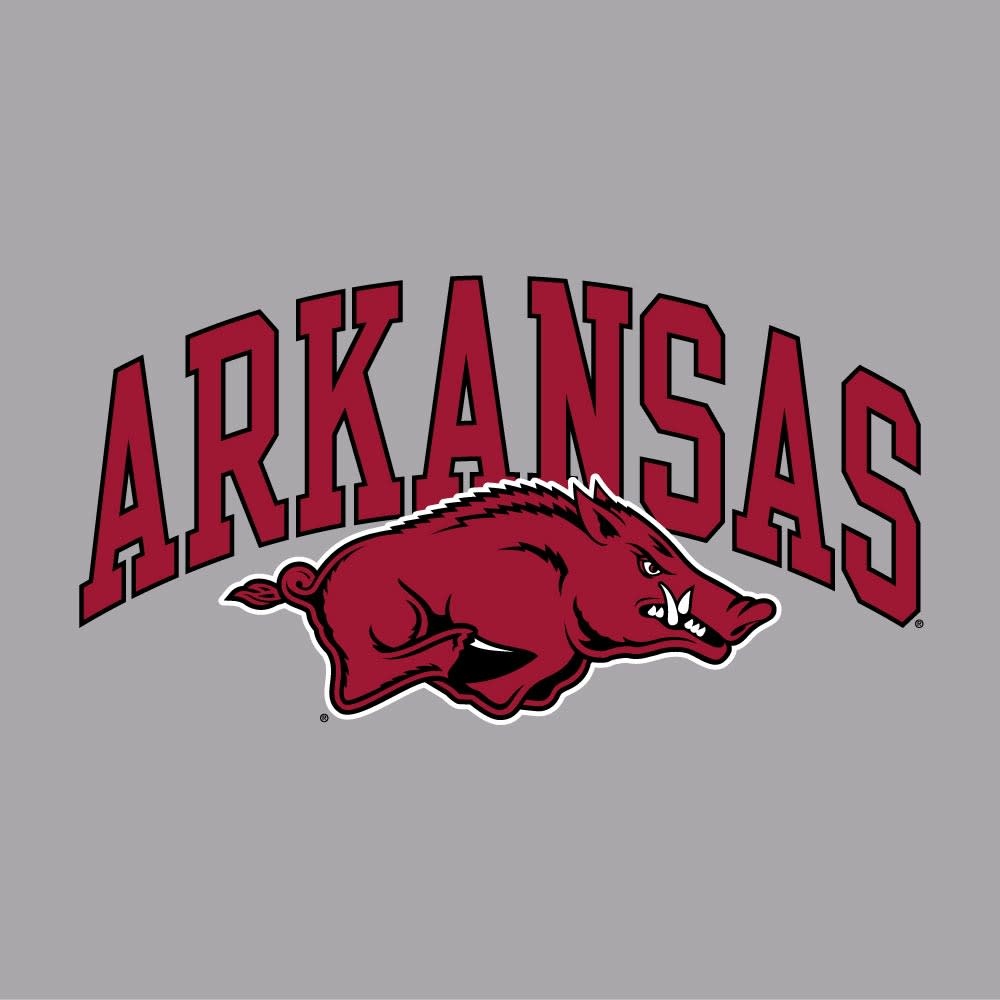 Champion Arkansas Razorback Basic Short Sleeve Jersey Tee By Champion