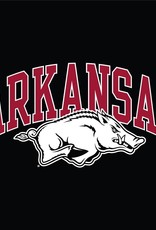 Champion Arkansas Razorback Basic Short Sleeve Jersey Tee By Champion