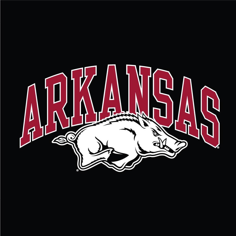 Arkansas Razorback Short Sleeve Jersey Tee By Champion - The