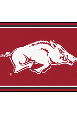 Fan Mats 5X8 Plush Razorback Area Rug