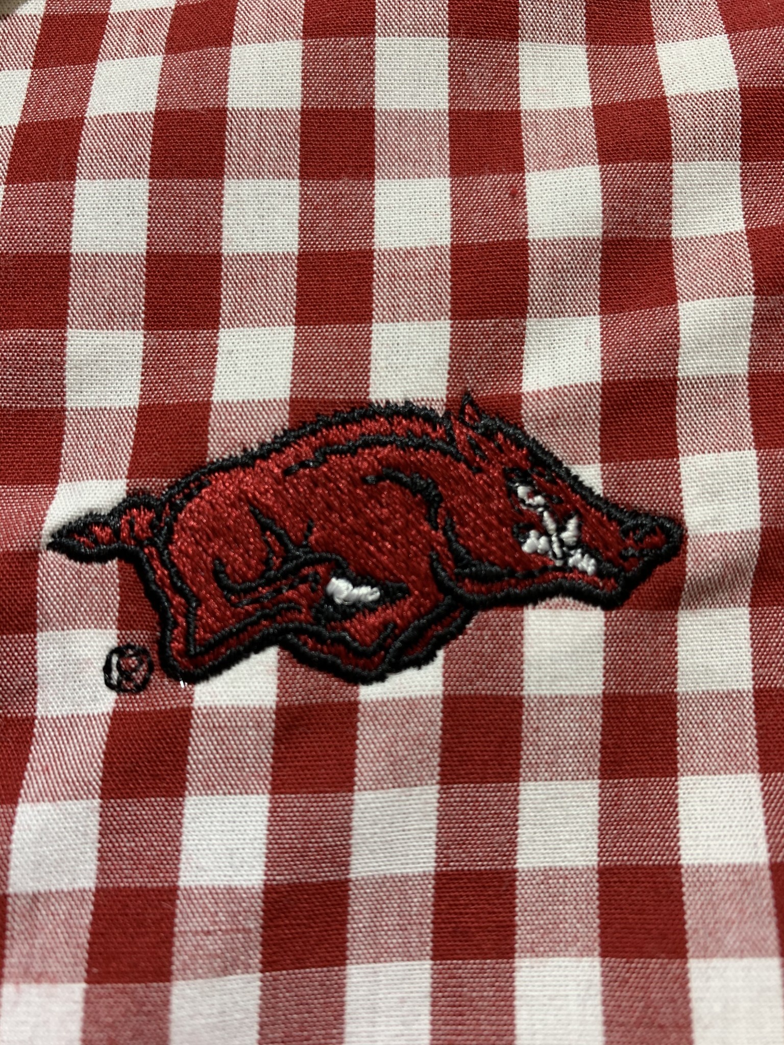 razorback dress shirt