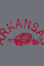 Champion ARKANSAS over Vintage Hog Triblend SST