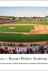 Blakeway Panorama Razorback Baseball Stadium Panorama Print