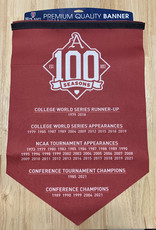 Wincraft 100 Seasons of Baseball Custom Banner