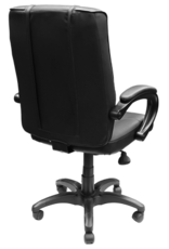 Dream Seat Razorback OFFICE CHAIR 1000