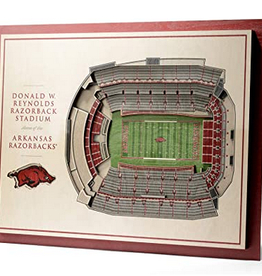 You The Fan Arkansas 5-Layer 3D Stadium View Wall Art