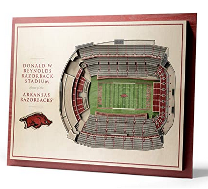 You The Fan Arkansas 5-Layer 3D Stadium View Wall Art