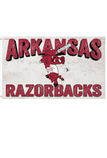 Wincraft Arkansas Razorbacks Ribby 3' X5'  Flag