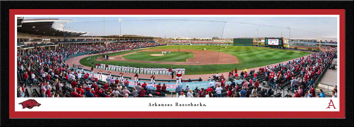 Blakeway Panorama 2023 Razorback Baseball Baum Walker Panorama Print