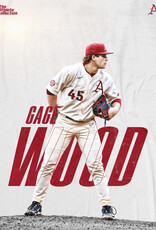 Razorback Baseball Gage Wood 18"X24" Poster