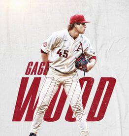 Razorback Baseball Gage Wood 18"X24" Poster