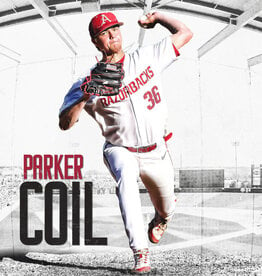 Razorback Baseball Parker Coil 18"X24" Poster