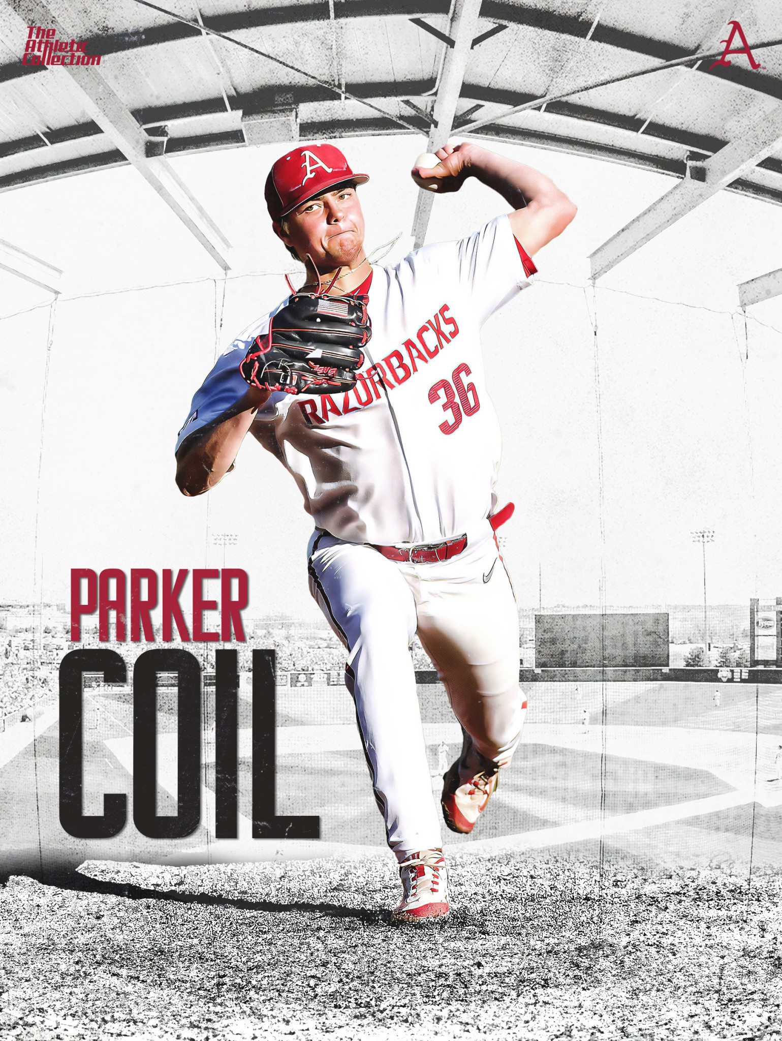 Razorback Baseball Parker Coil 18"X24" Poster