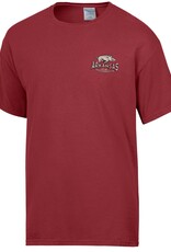 Comfort Wash Arkansas Comfort Wash Throwback  SST By Gear For Sports