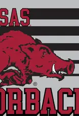 Gametime Sidekicks Razorback 20oz College Vault Tumbler