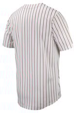 Razorback Official NIKE Adult Baseball Jersey