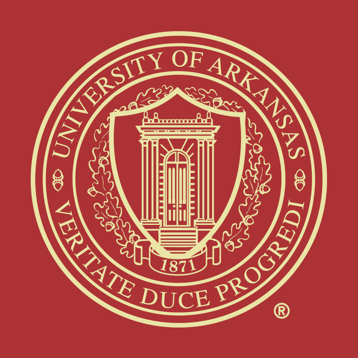 Church Hill University Of Arkansas Gold Embossed Diploma Frame Red Matting