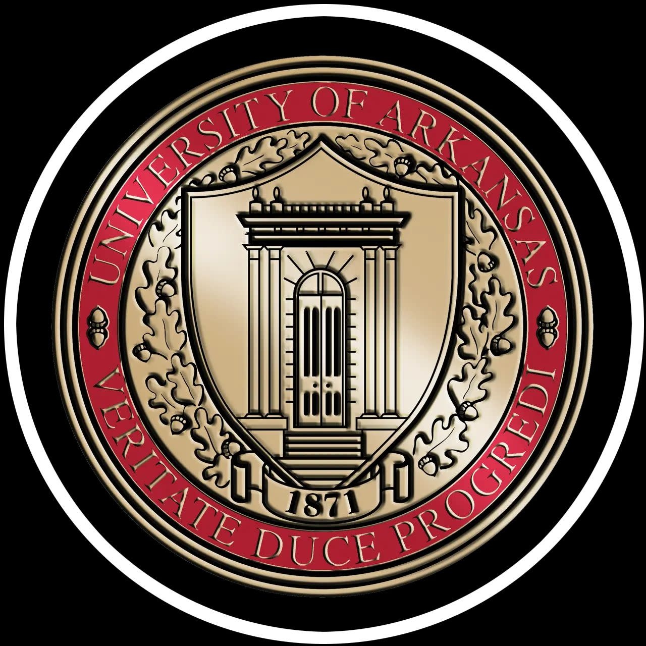 Church Hill University Of Arkansas Masterpiece Medallion Diploma Frame