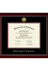 Church Hill University Of Arkansas Gold Engraved Medallion Diploma Frame
