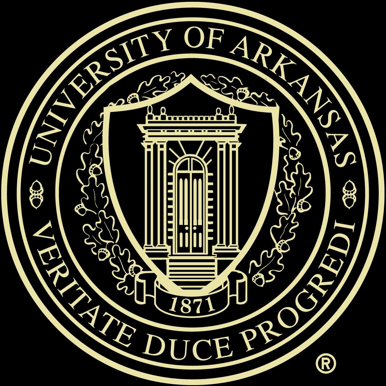 Church Hill University Of Arkansas Gold Embossed Single Mat Diploma Frame