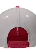 Razorback NIKE Pro Flatbill Colorblock Hat