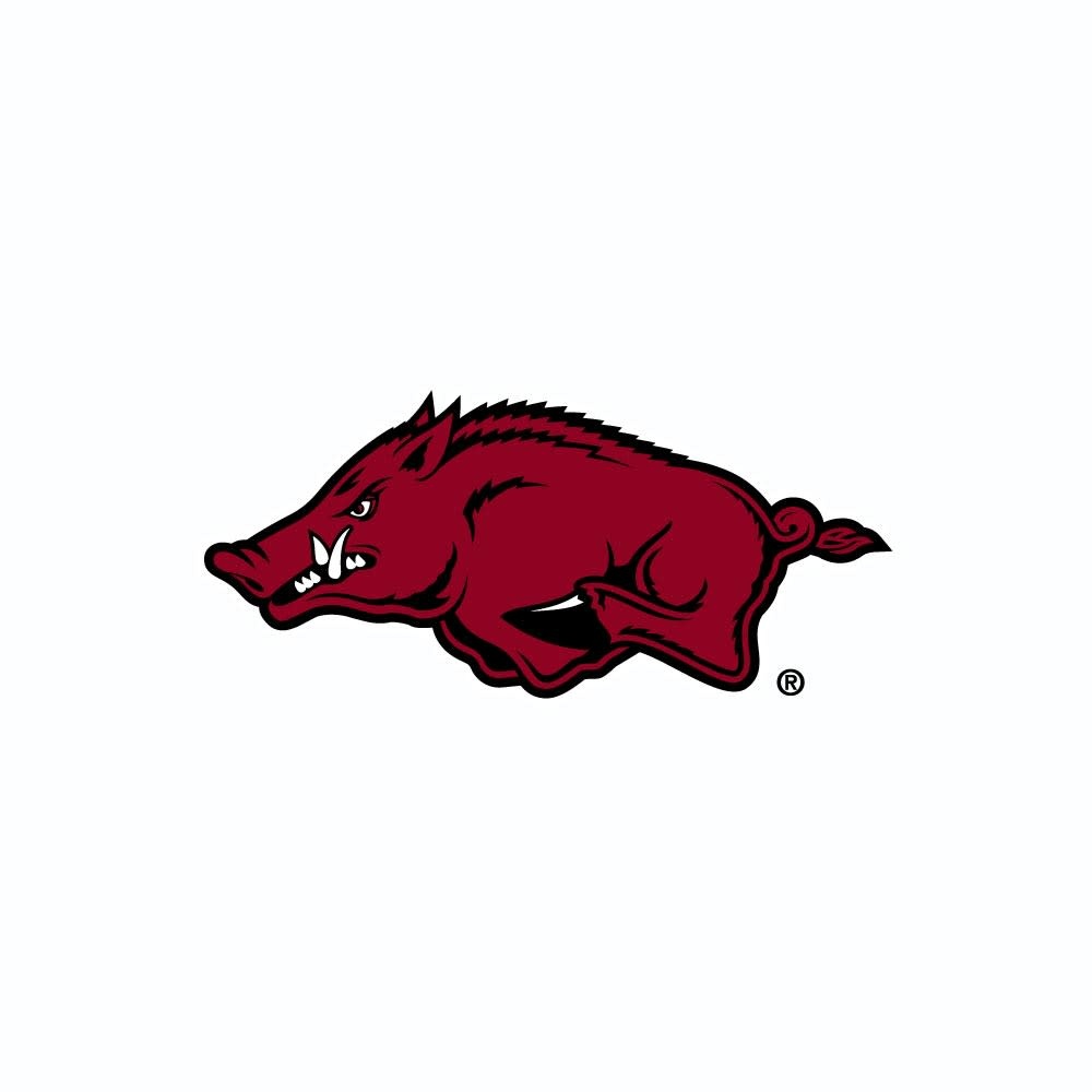 Champion Razorback Superfan Satin Bomber Jacket