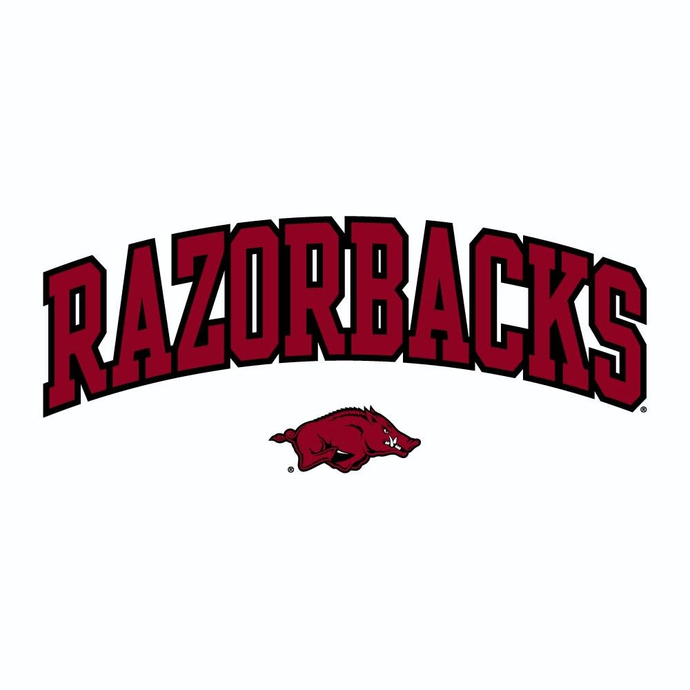 Champion Razorback Superfan Scout V Neck Pullover Jacket