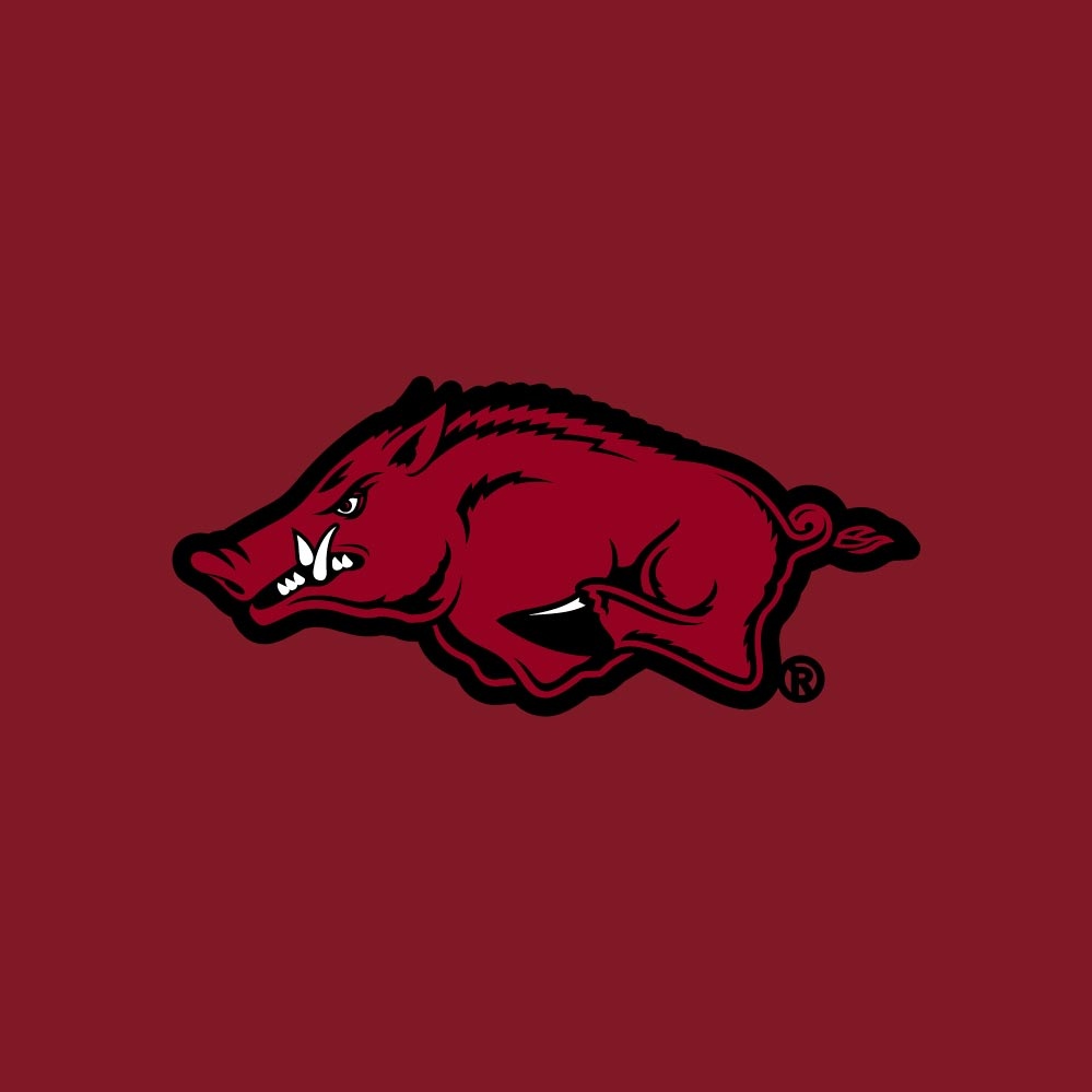 Champion Razorback HOGS Chenille Powerblend Hood