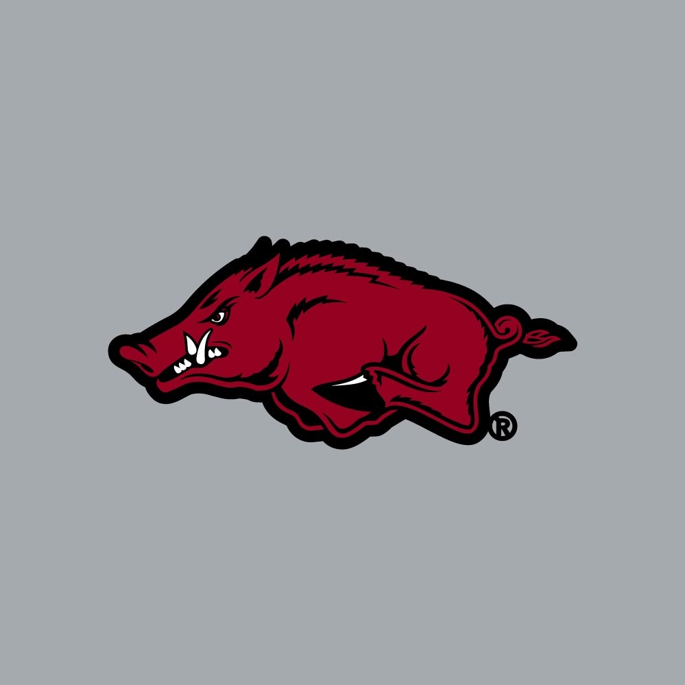 Champion Razorback HOGS Chenille Powerblend Hood