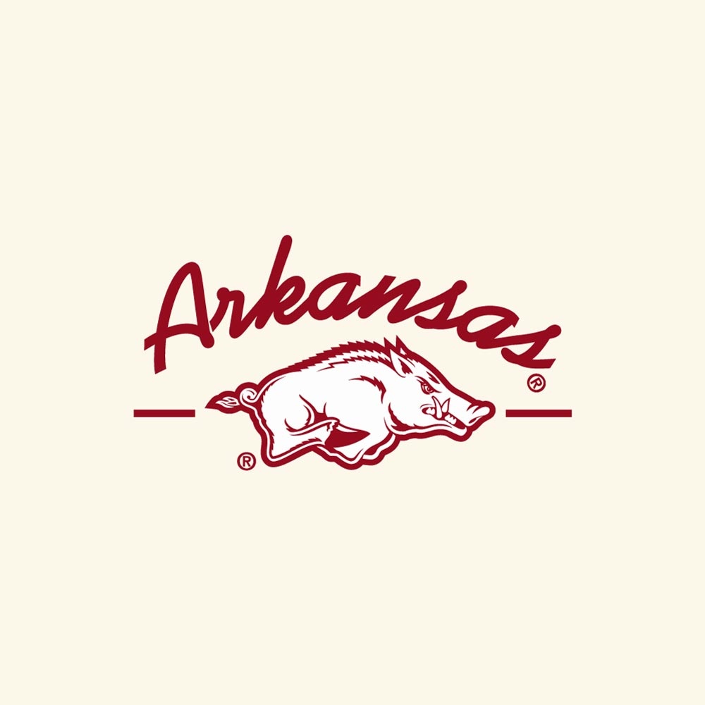 Champion Razorback Women's Sueded Crew