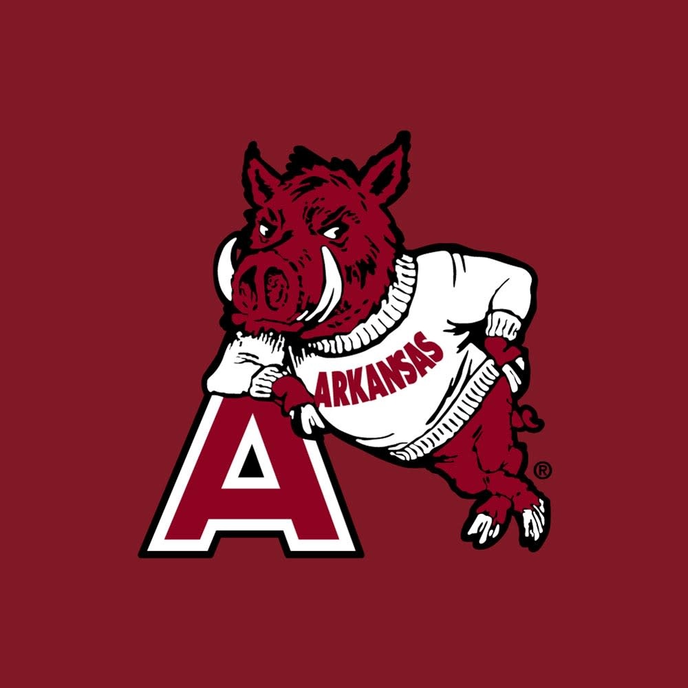 Champion Razorback Hog Leaning On A Polo