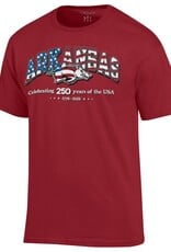 Champion Razorback Basic 250 American Flag Jersey SST