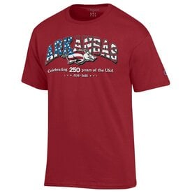 Champion Razorback Basic 250 American Flag Jersey SST