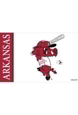 Wincraft Arkansas Razorback Baseball Ribby 3X5 Flag
