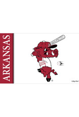 Wincraft Arkansas Razorback Baseball Ribby 3X5 Flag