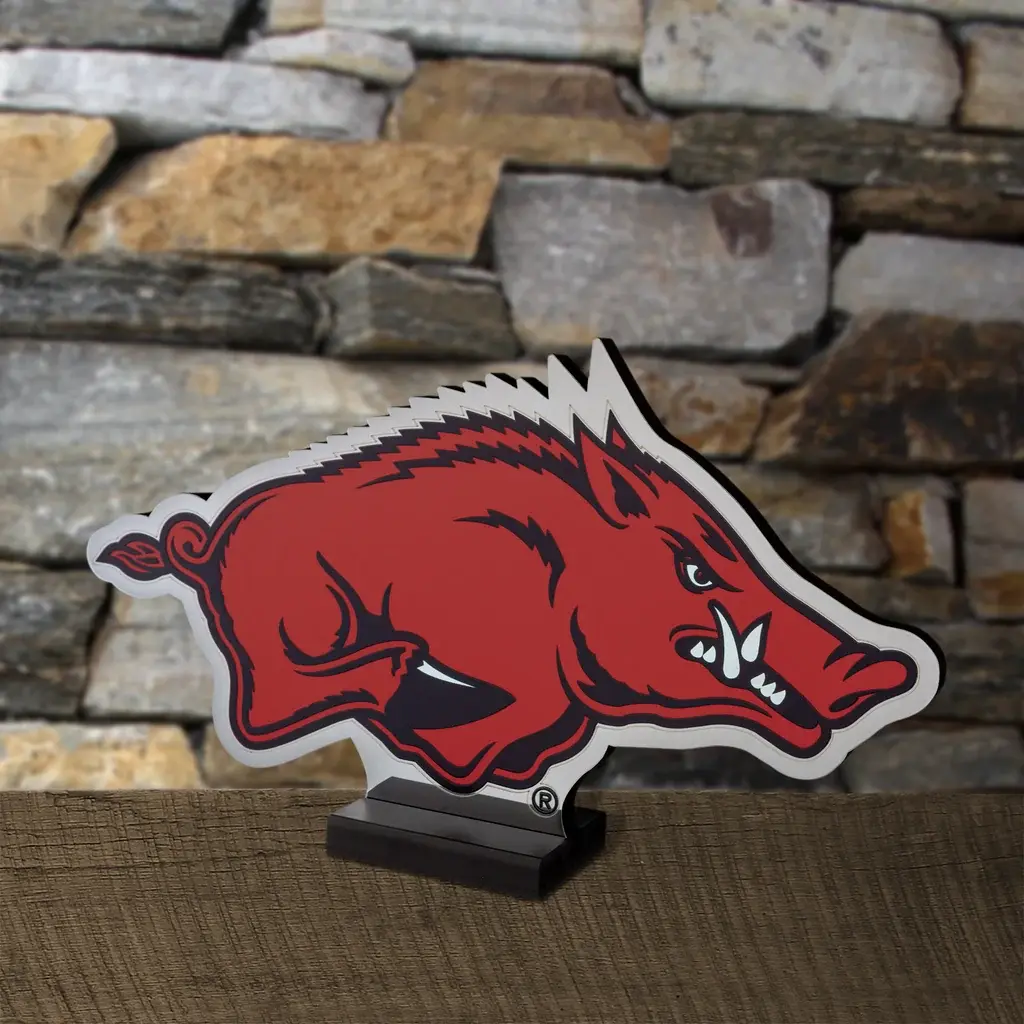 Sporticulture Arkansas Razorback LED Infinity Logo Light