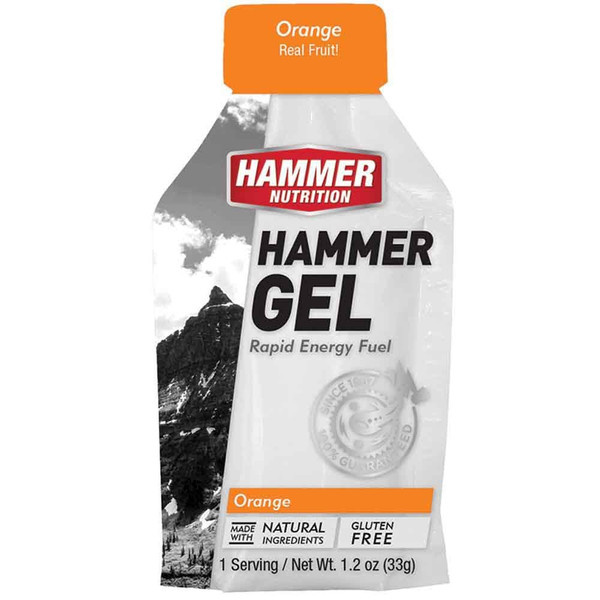 Hammer Nutrition Hammer Gel Single Serving