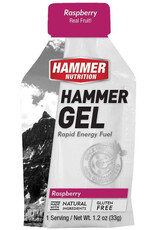 Hammer Nutrition Hammer Gel Single Serving