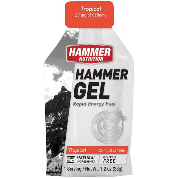 Hammer Nutrition Hammer Gel Single Serving