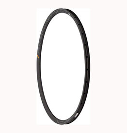 Hed Belgium R Clincher Rim, Disc Brake