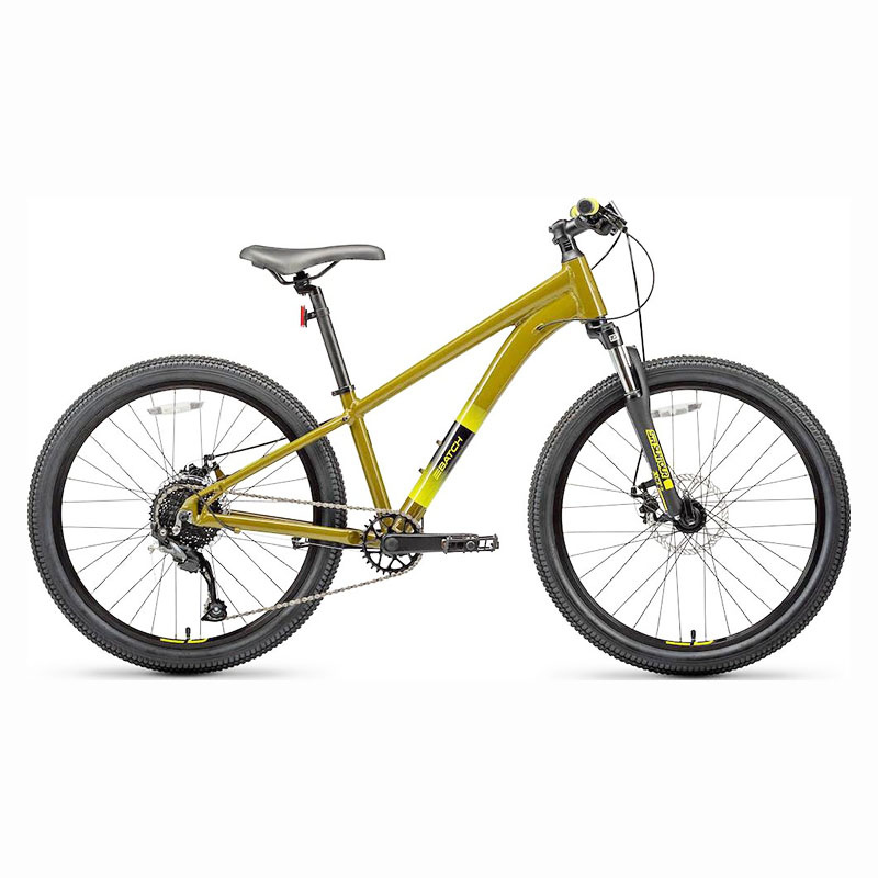 Batch Youth 24" Disc Mountain Bike Olive