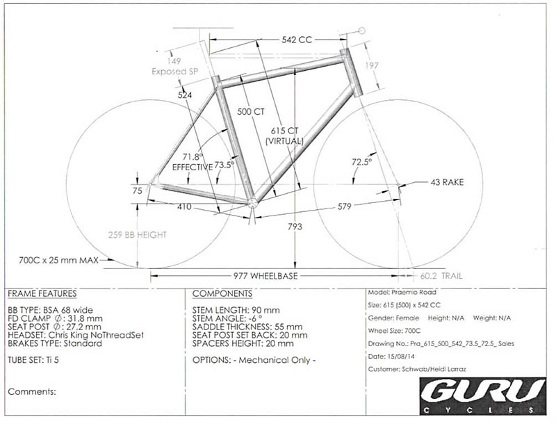 Guru Praemio Titanium/Tiagra Bicycle