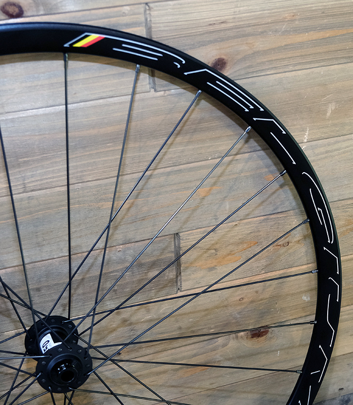 Handbuilt Wheelset DT Swiss 350 Disc/700c HED Belgium R Disc/Butted Spokes