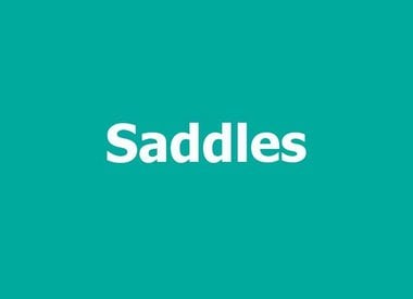 SADDLES