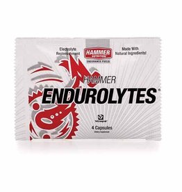 Hammer Nutrition Endurolytes Single Serving