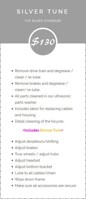 Silver Bike Tune - $100 - Delux bicycle tune-up, degrease and clean drive train and brake system, adjust all moving parts on the bicycle including brakes and shifters