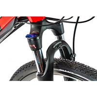 giant roam 2 disc 2020