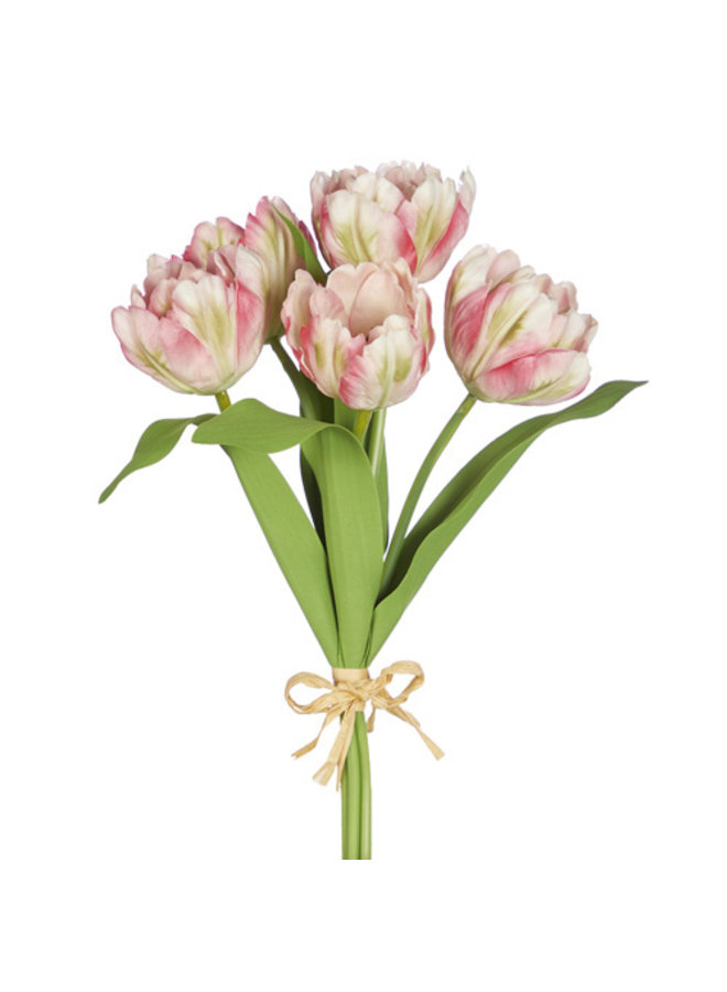 14.5" Real Touch Parrot Tulip Bundle